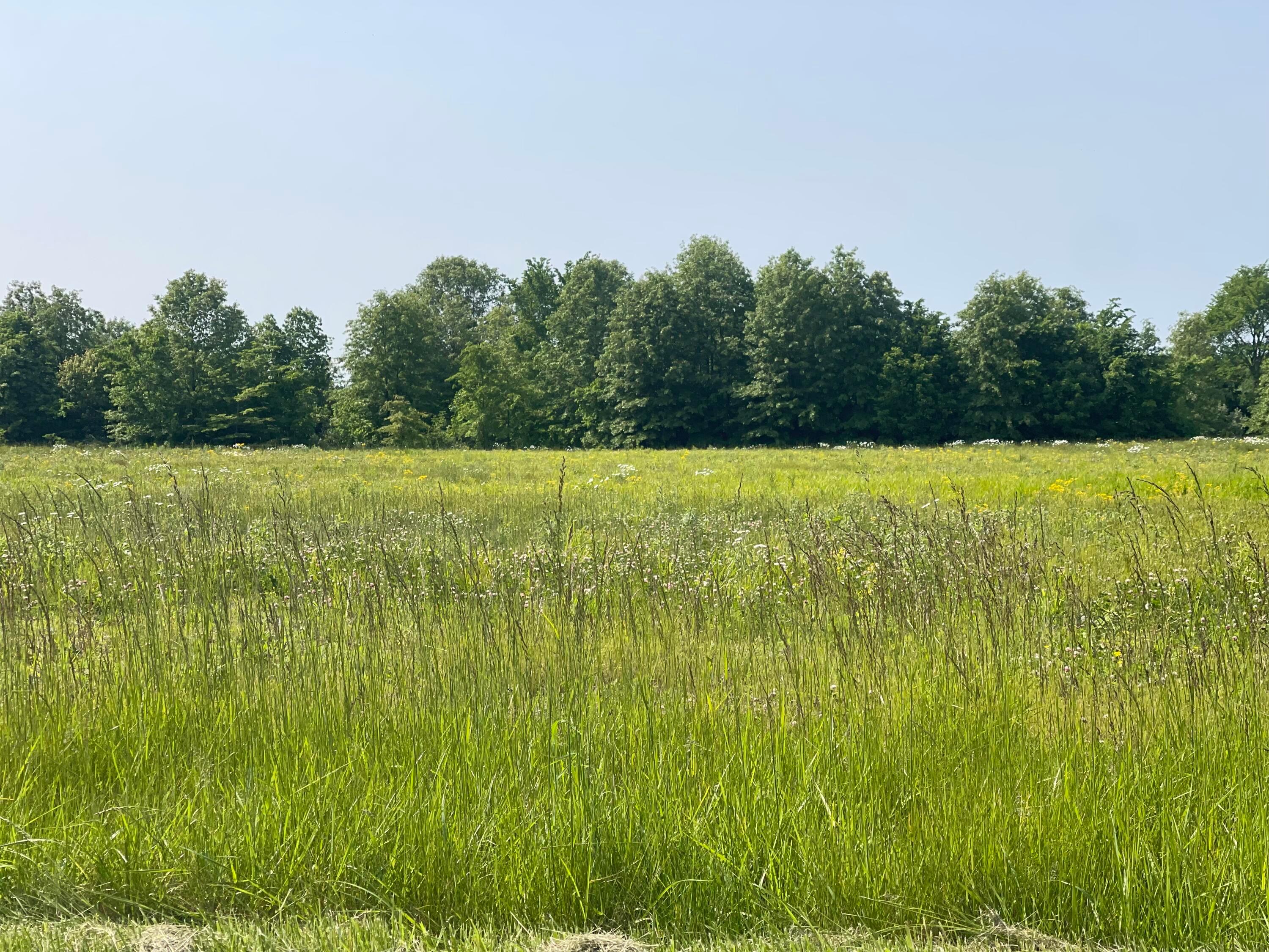 18487 Smokey Road, Marysville, Ohio image 1