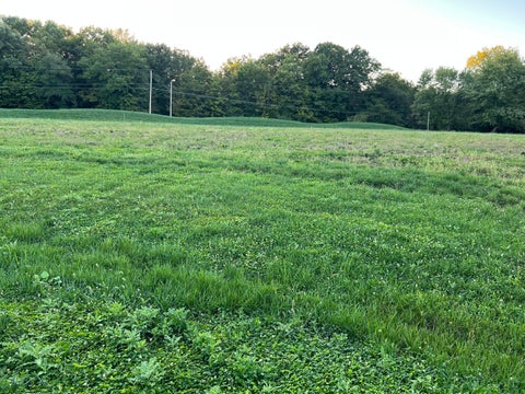 Vacant Land For Sale - 8876 Carlisle Court<br/> Powell, OH 43065