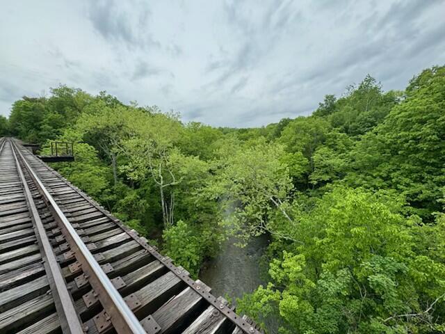 12323 Ringer Lane, Leesburg, Ohio image 45
