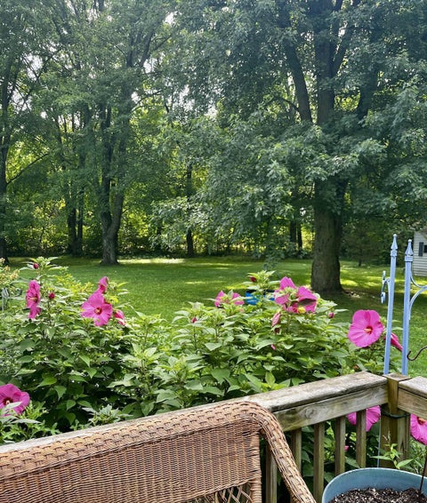 Tiny photo for 3412 County Road 125, Cardington, OH 43315 (MLS # 226036200)
