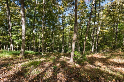 Tiny photo for 23964 Brown Road, South Bloomingville, OH 43152 (MLS # 226039368)