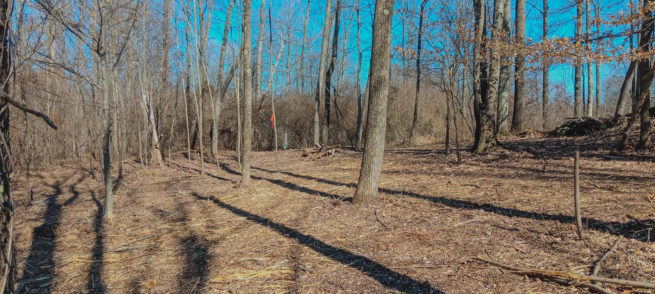 2811 Township Road 128 #TURKEY RUN TRACT 2, New Lexington, Ohio image 25