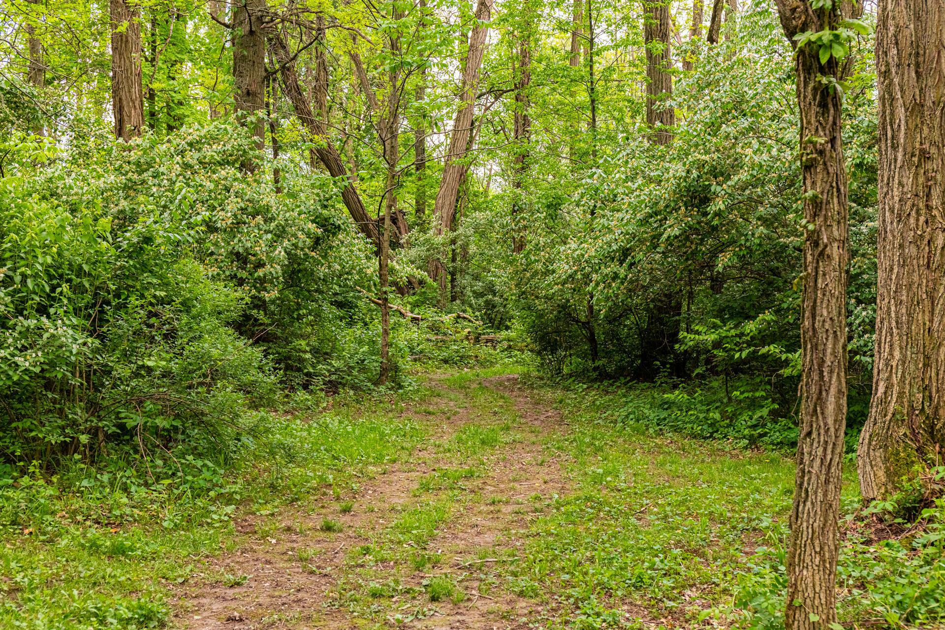 4424 Township Road 233, Cardington, Ohio image 34