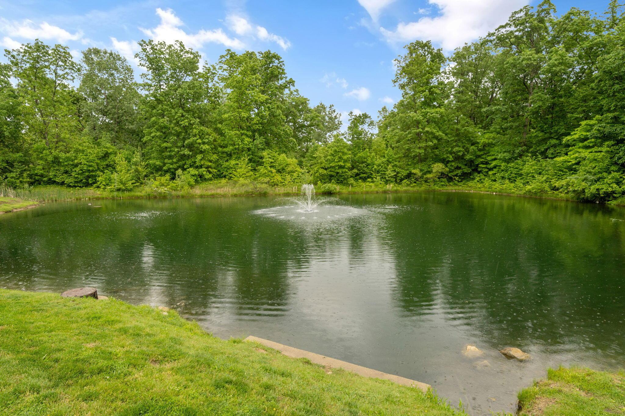 155 Arrowfeather Lane, Lewis Center, Ohio image 46