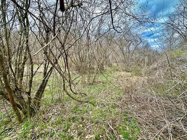 Deer Creek Road, Vinton, Ohio image 7