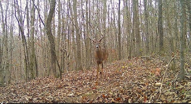Deer Creek Road, Vinton, Ohio image 15