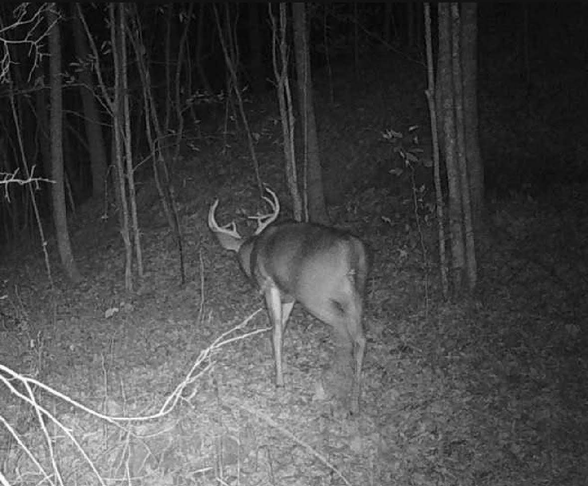 Deer Creek Road, Vinton, Ohio image 9