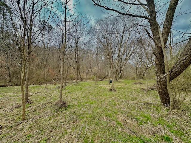 Deer Creek Road, Vinton, Ohio image 5
