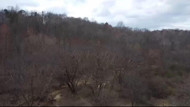 Deer Creek Road, Vinton, Ohio image 19