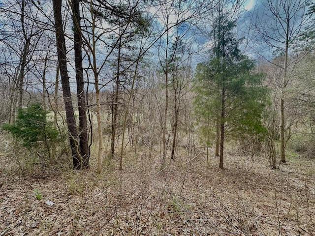 Deer Creek Road, Vinton, Ohio image 3