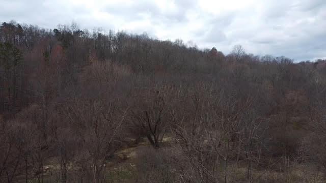 Deer Creek Road, Vinton, Ohio image 18