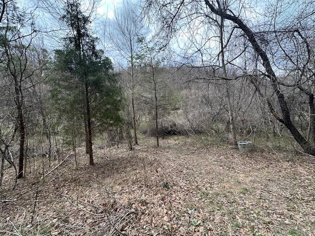 Deer Creek Road, Vinton, Ohio image 10