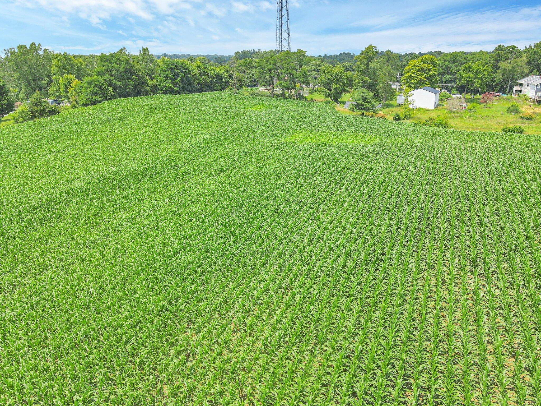 7945 Blacks Road, Pataskala, Ohio image 13