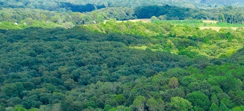 Vacant Land For Sale - Derry Lane Road<br/> Wilkesville, OH 45695