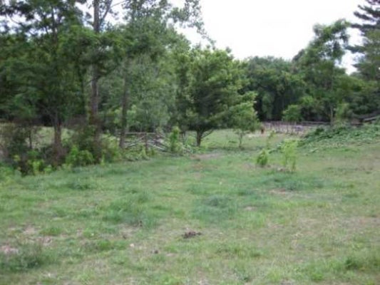 0 SUNBURY ROAD, GALENA, OH 43021 - Image ef8c8db72b3f4f6d729b046ae4f35c33/69852534