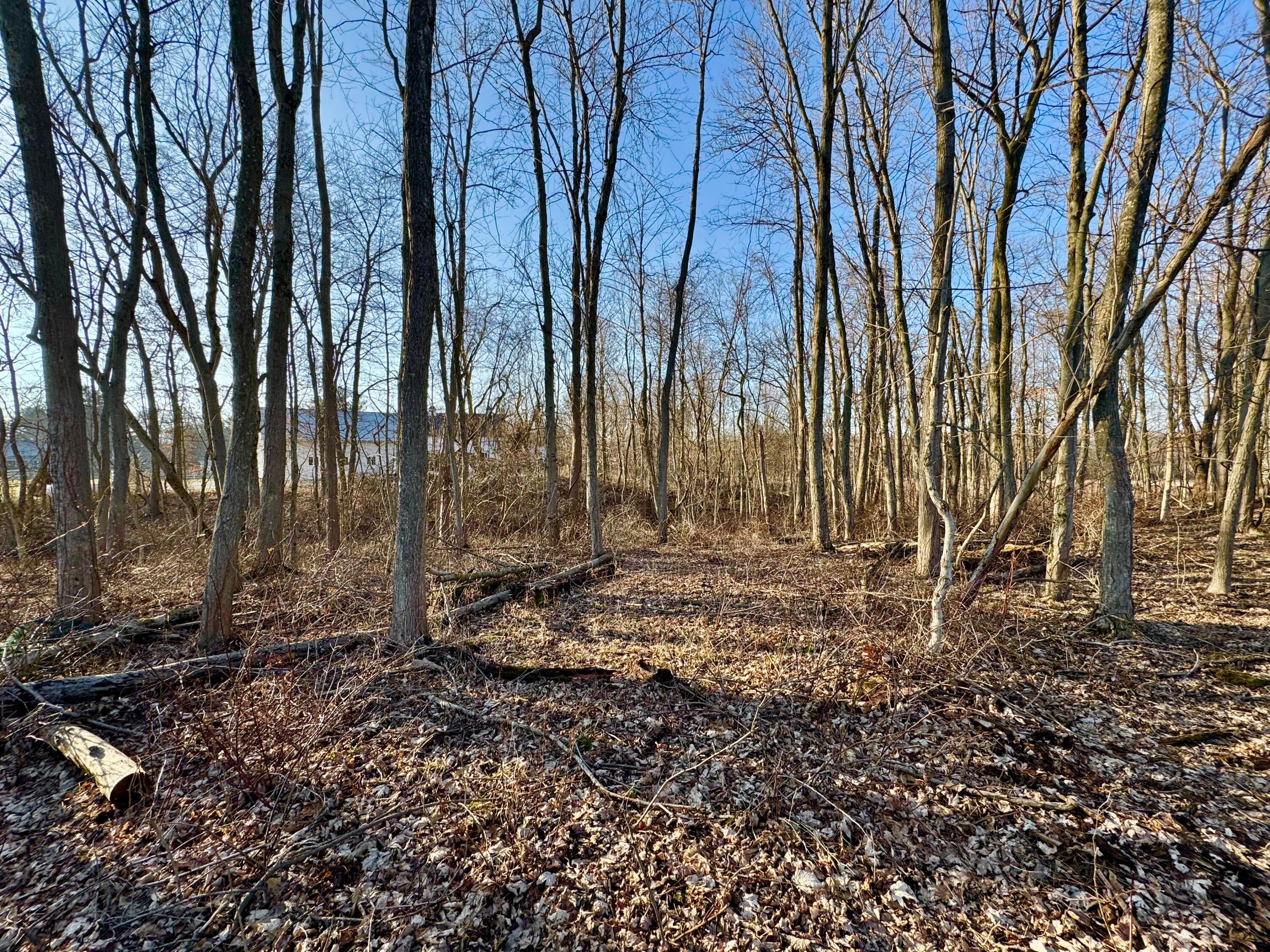 475 Township Rd 208, Marengo, Ohio image 22