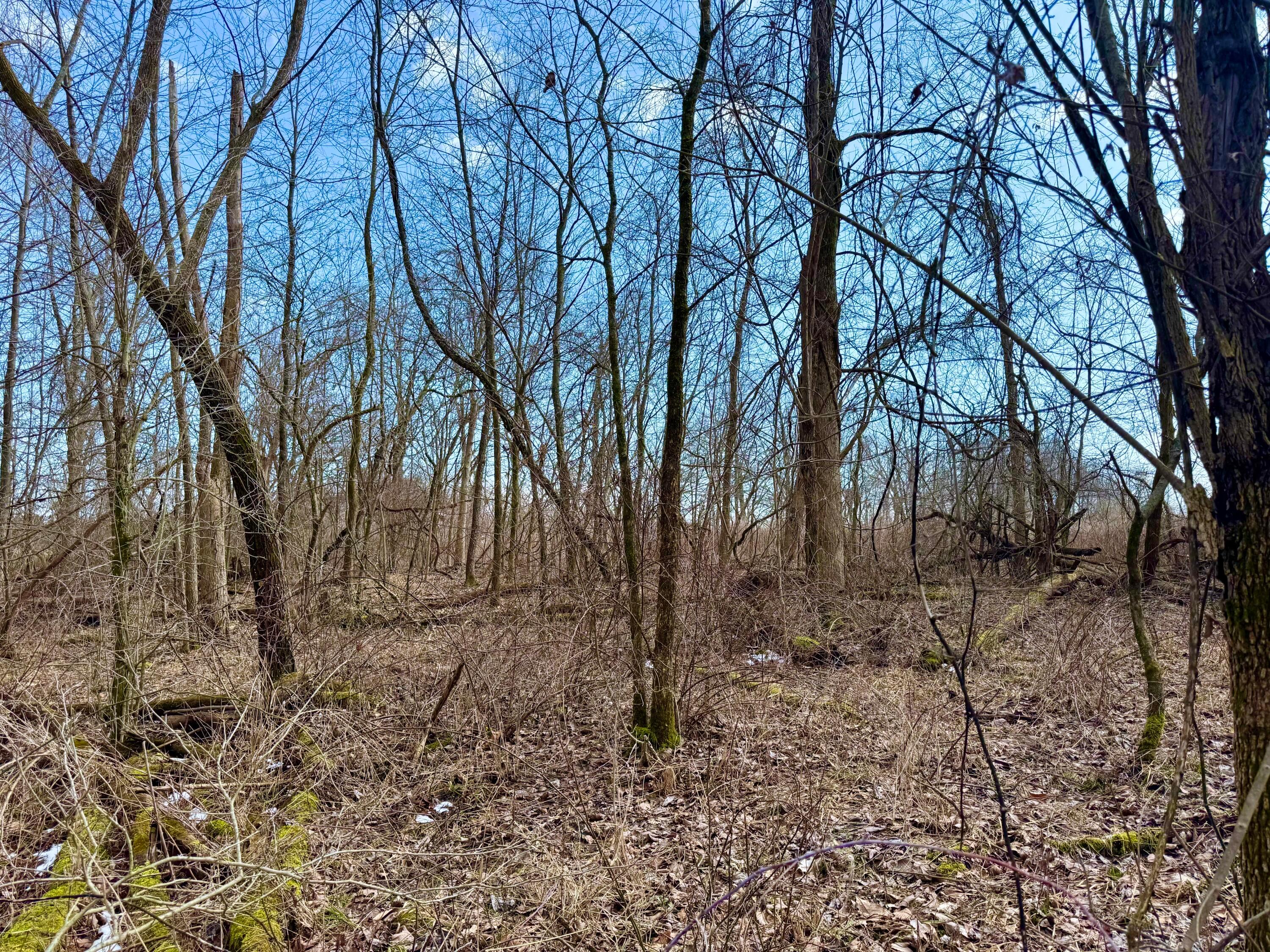 475 Township Rd 208, Marengo, Ohio image 13