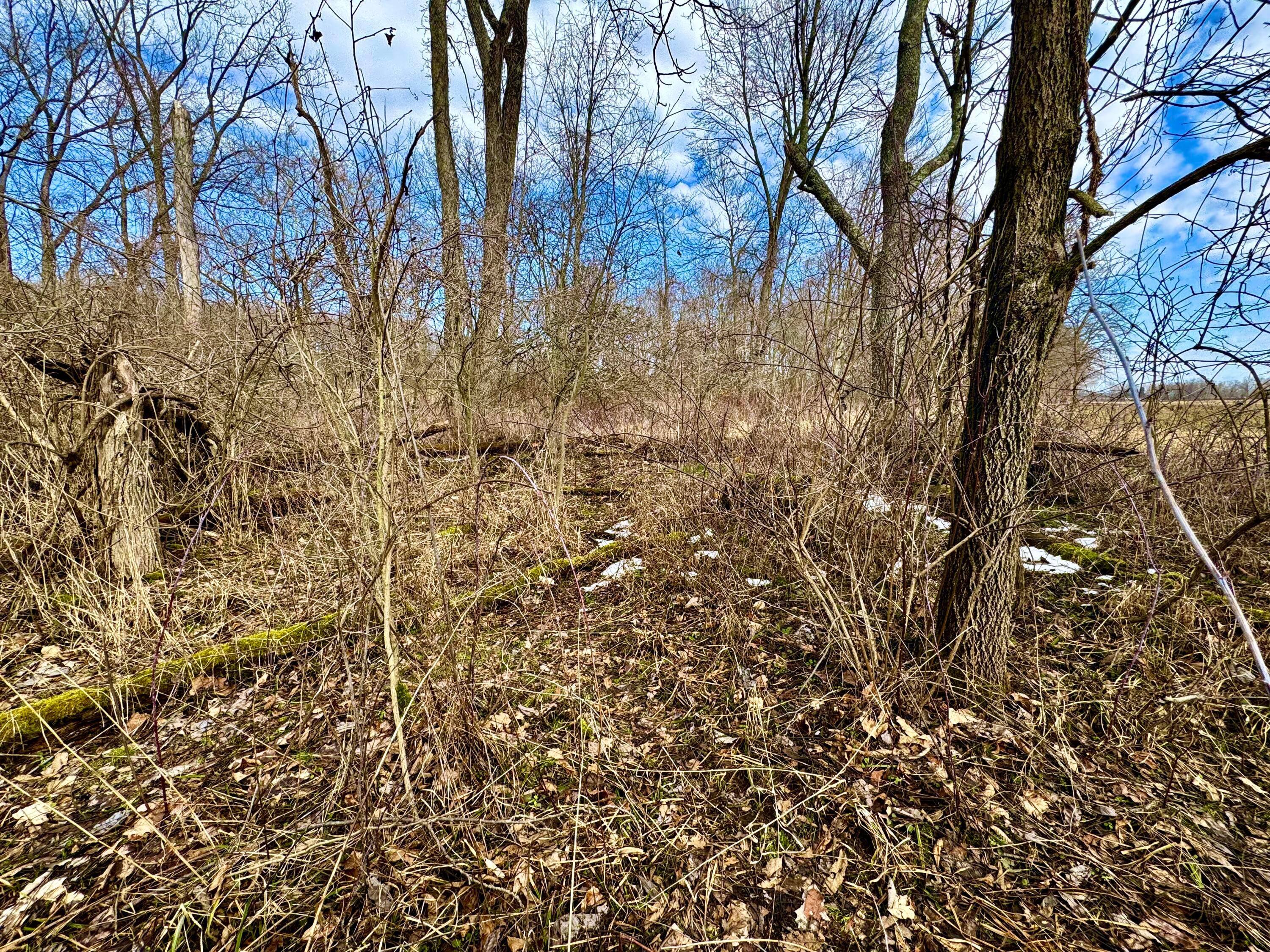 475 Township Rd 208, Marengo, Ohio image 14