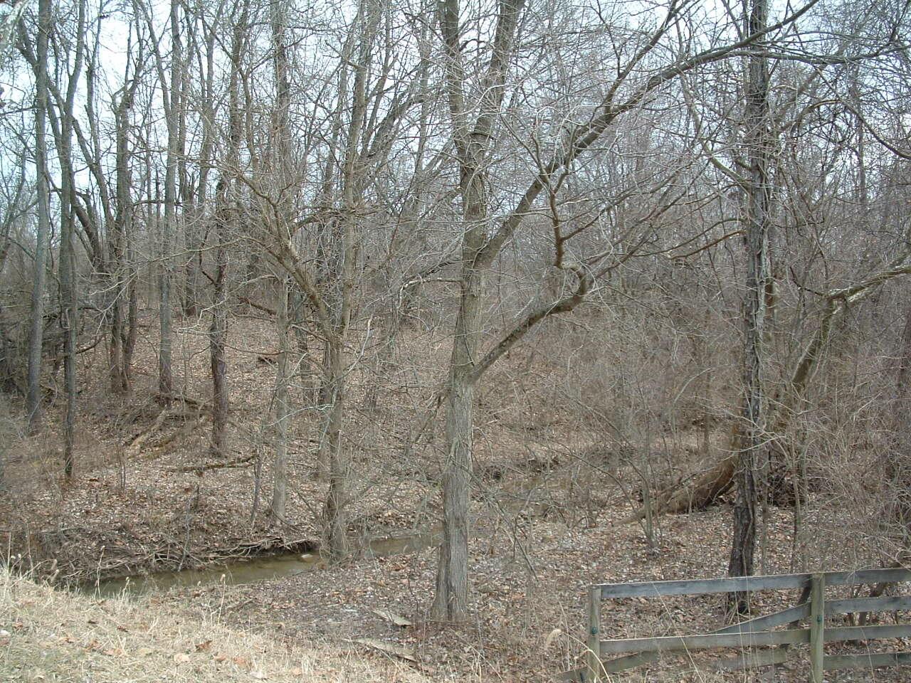 12338 Morse Road, Pataskala, Ohio image 31