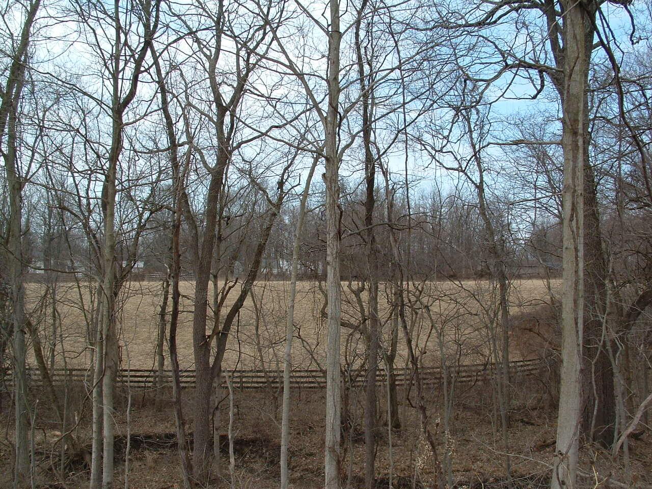 12338 Morse Road, Pataskala, Ohio image 24