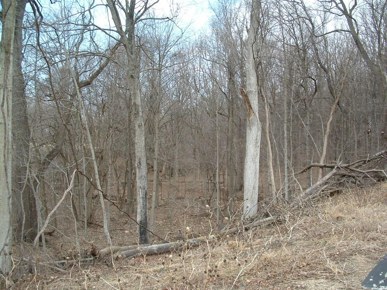 12338 Morse Road, Pataskala, Ohio image 23