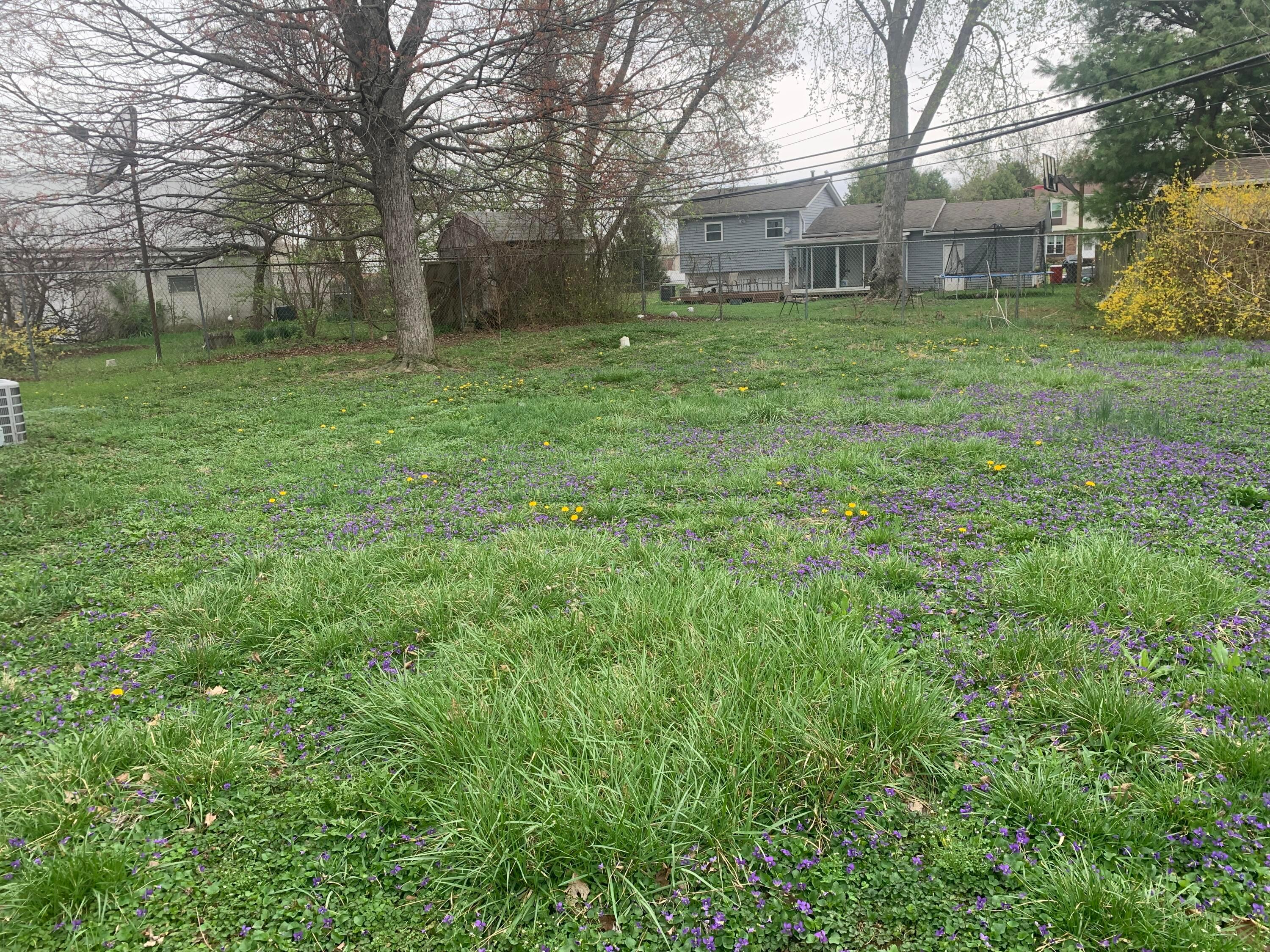 3364 Arnsby Road, Columbus, Ohio image 17