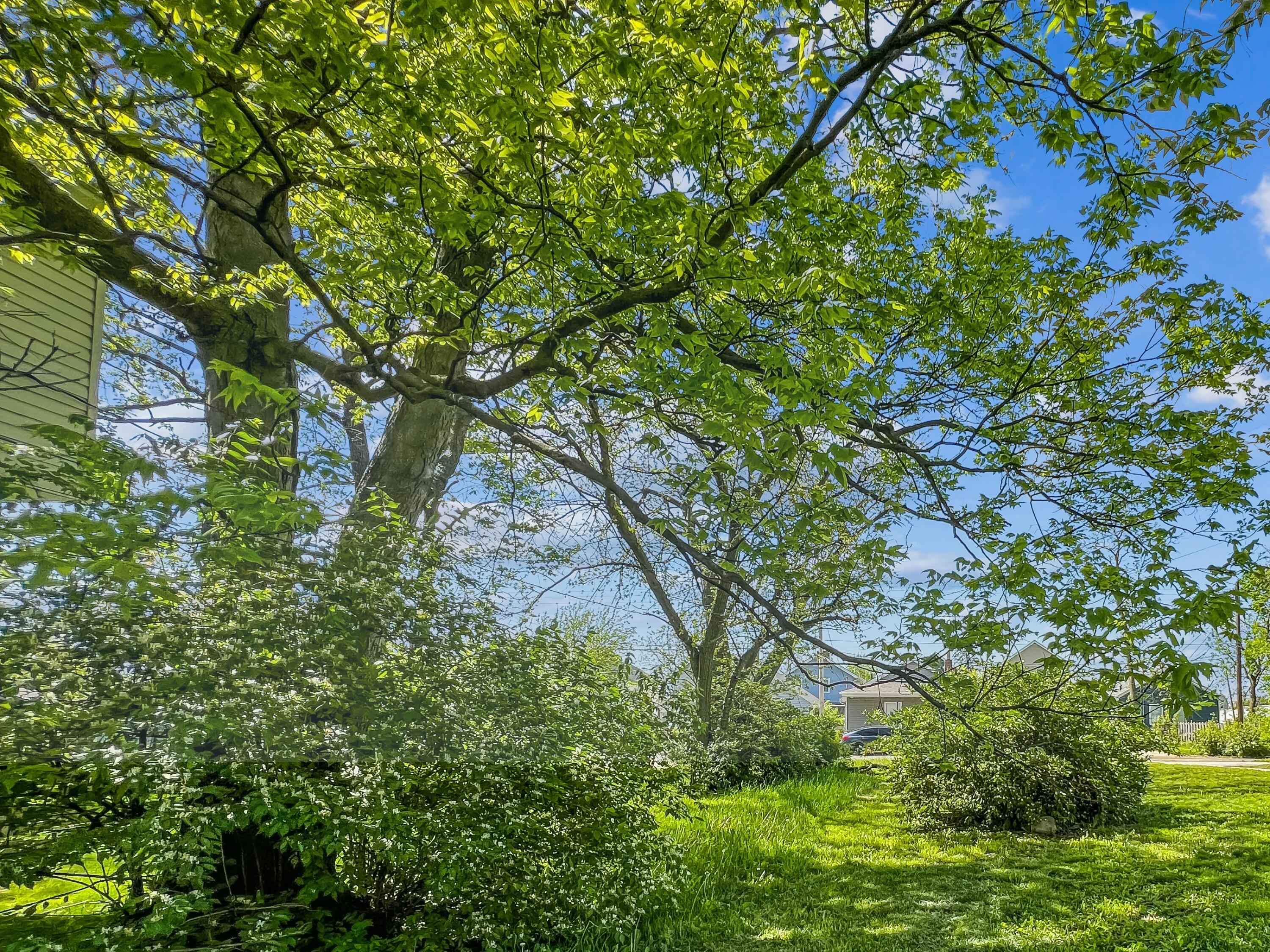 E 13th Avenue, Columbus, Ohio image 4