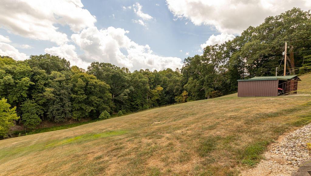 48245 Morning Star Road, Racine, Ohio image 14