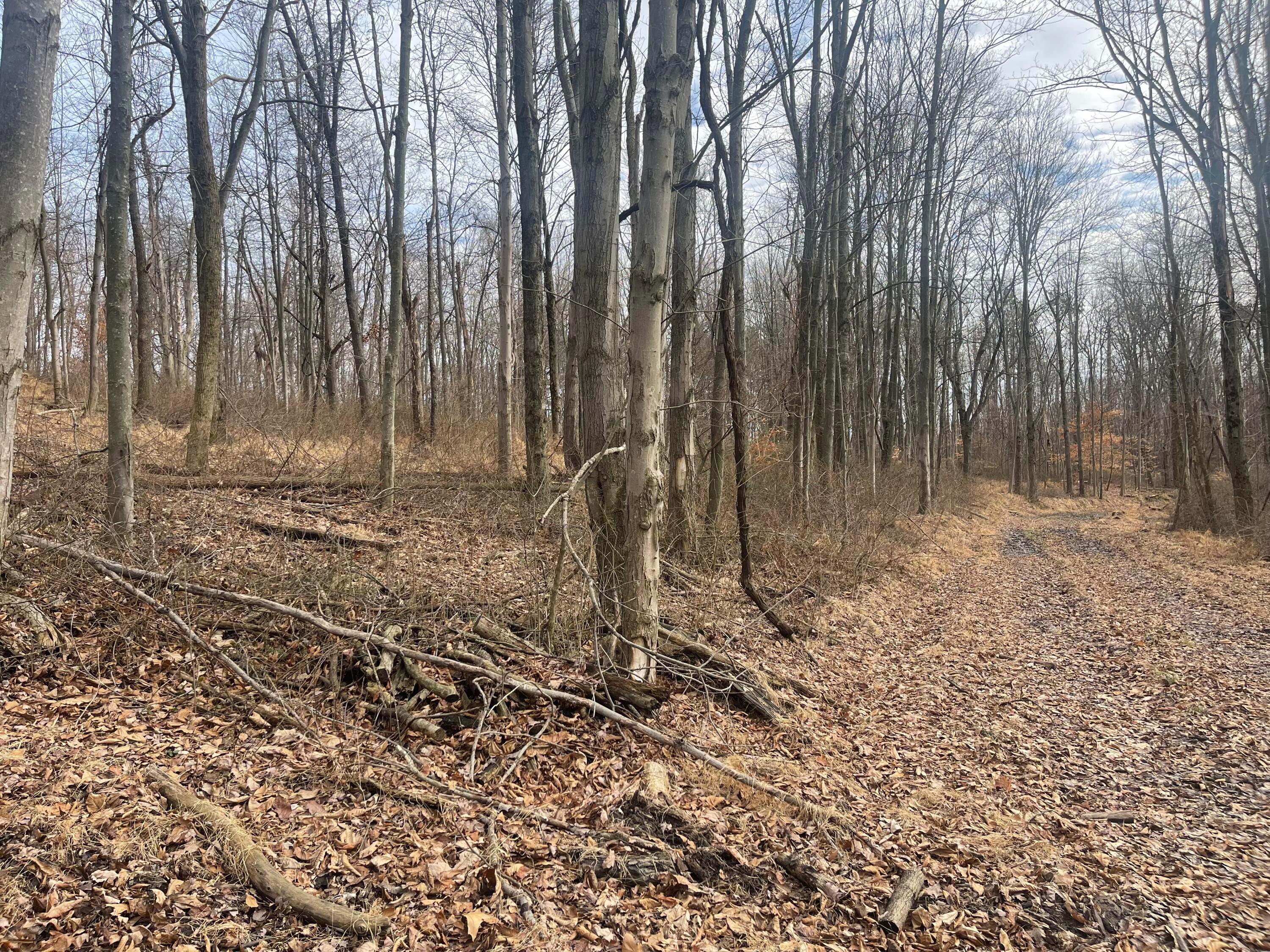 Blue Jay Road, Heath, Ohio image 6