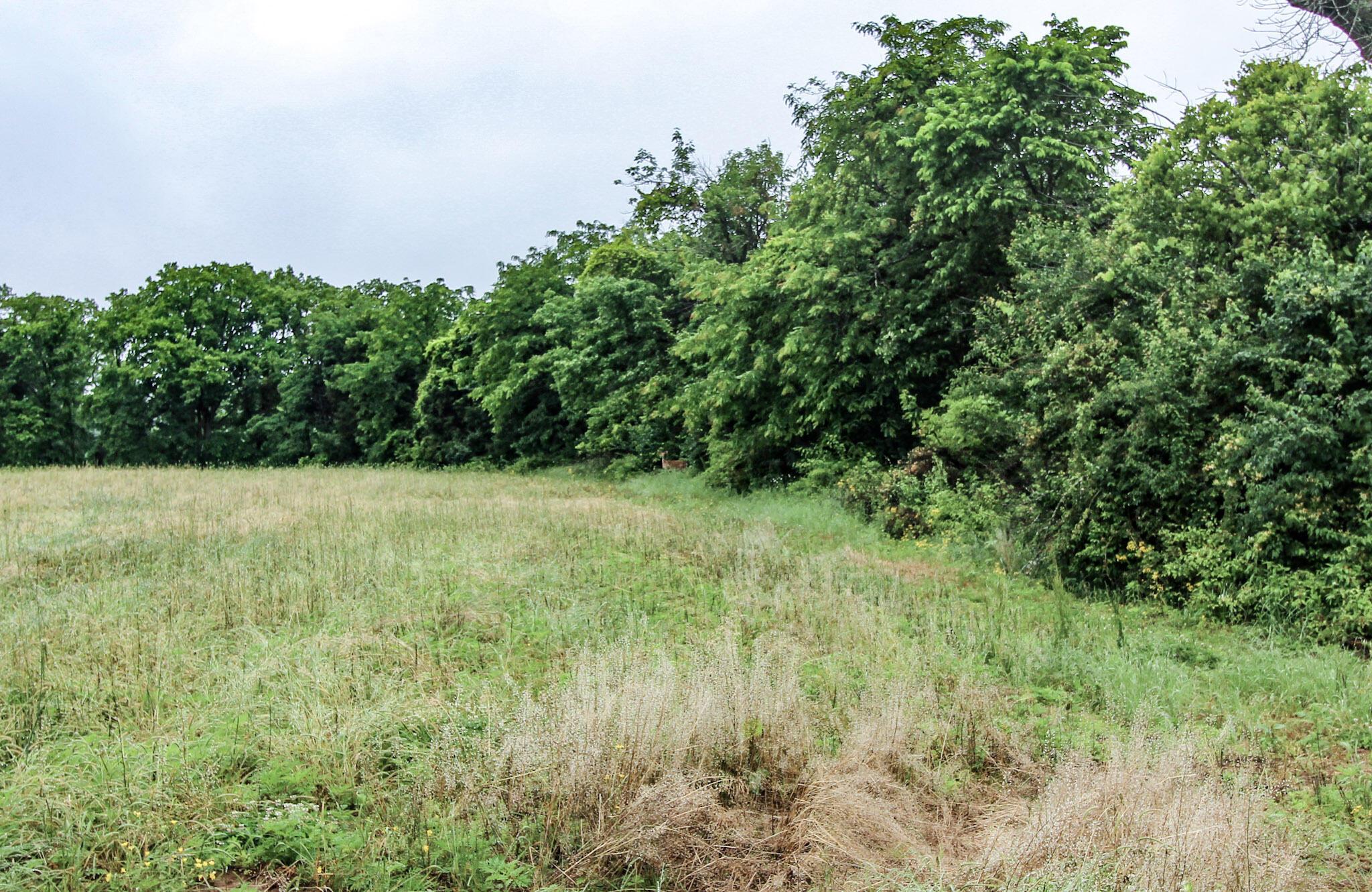 790 Knauff Road, Peebles, Ohio image 31