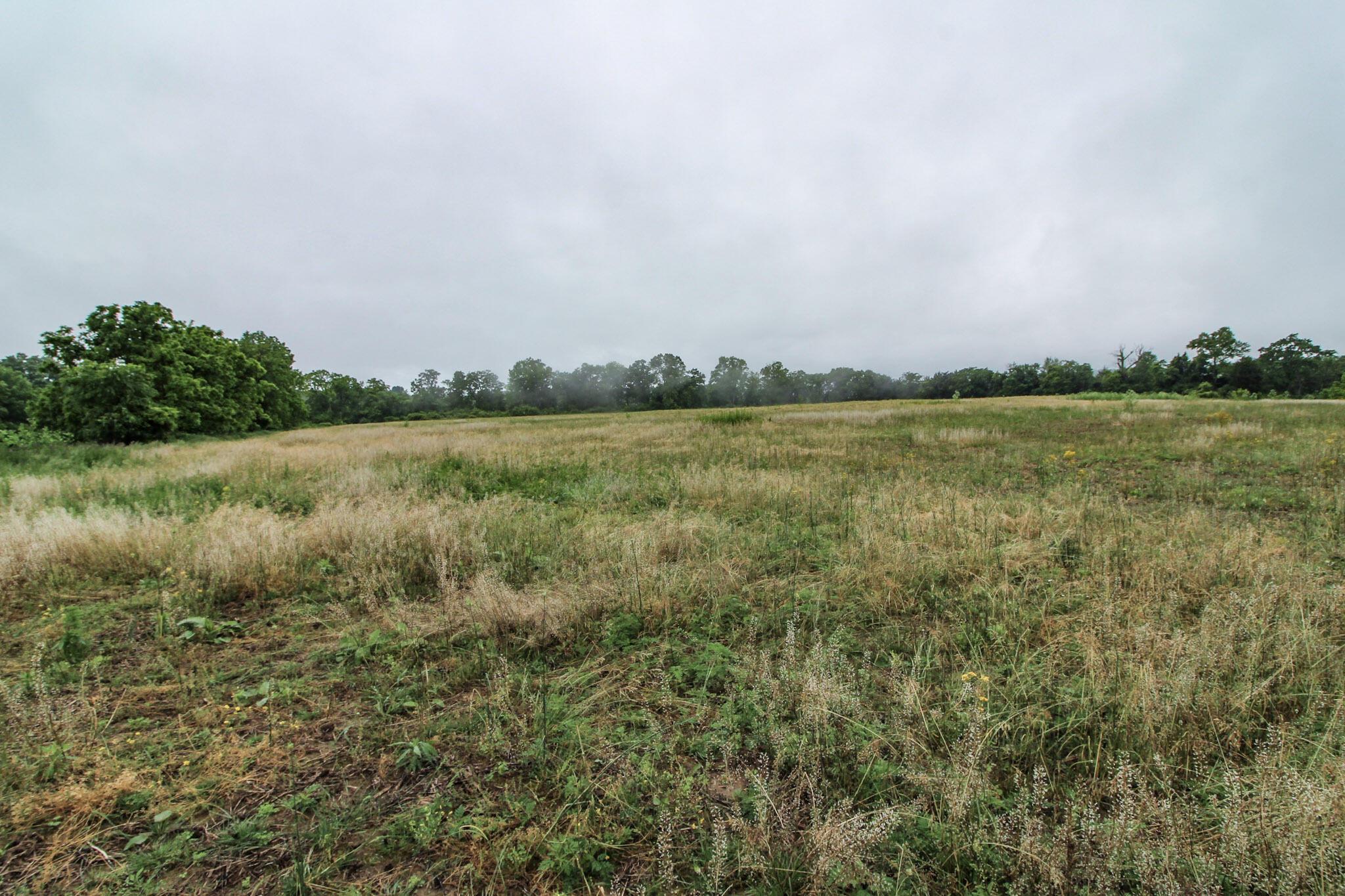 790 Knauff Road, Peebles, Ohio image 35