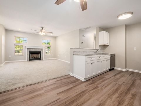 Photo of 2654 Brittany Oaks Boulevard, Hilliard, OH 43026 (MLS # 225034843)