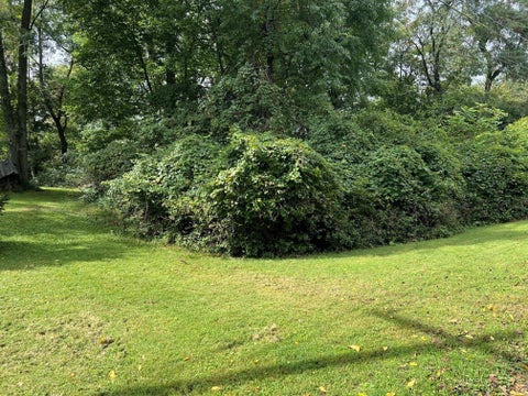 Photo of 74 Kurrley Street, Delaware, OH 43015 (MLS # 226035703)