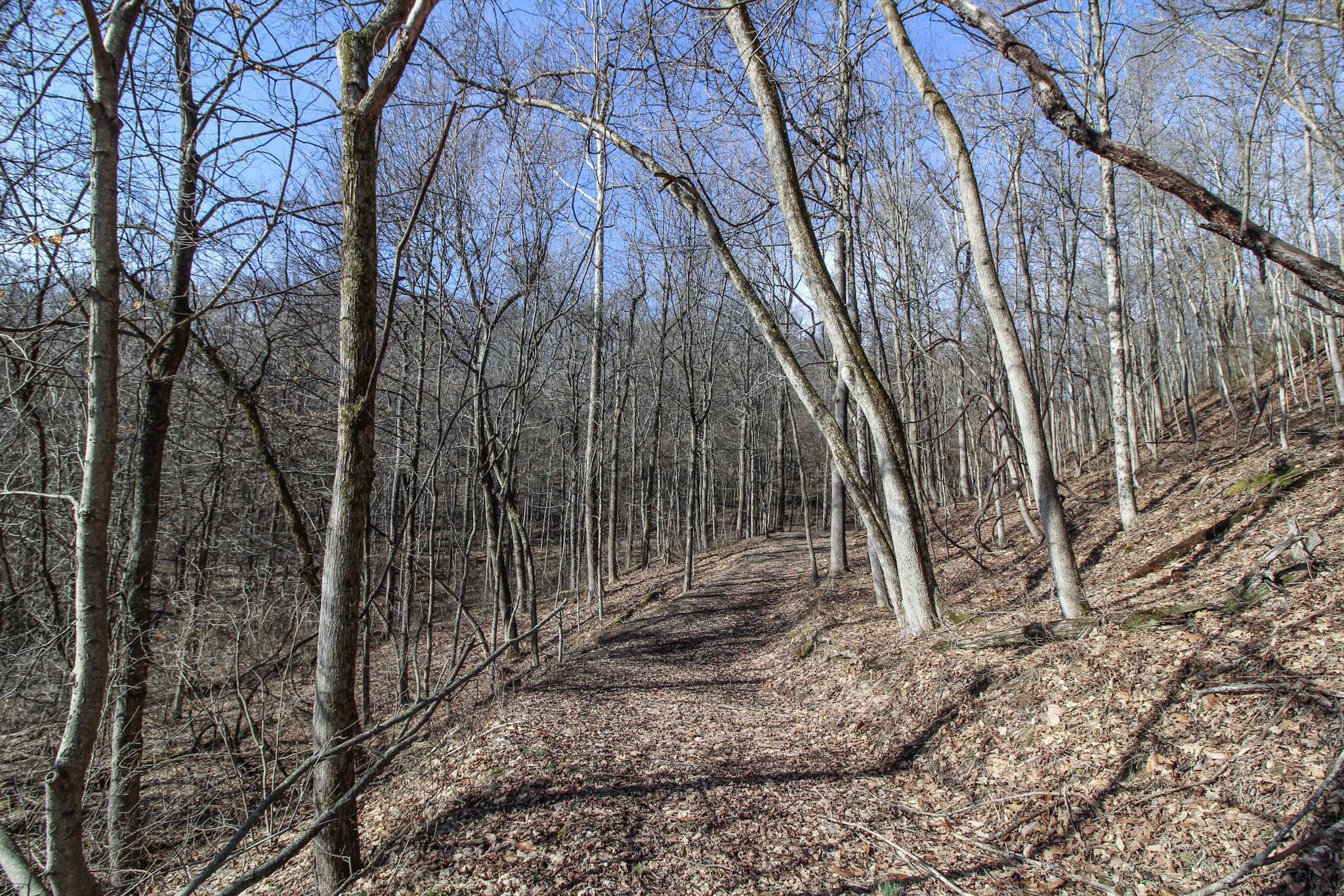 Sugar Run Road, Marietta, Ohio image 18