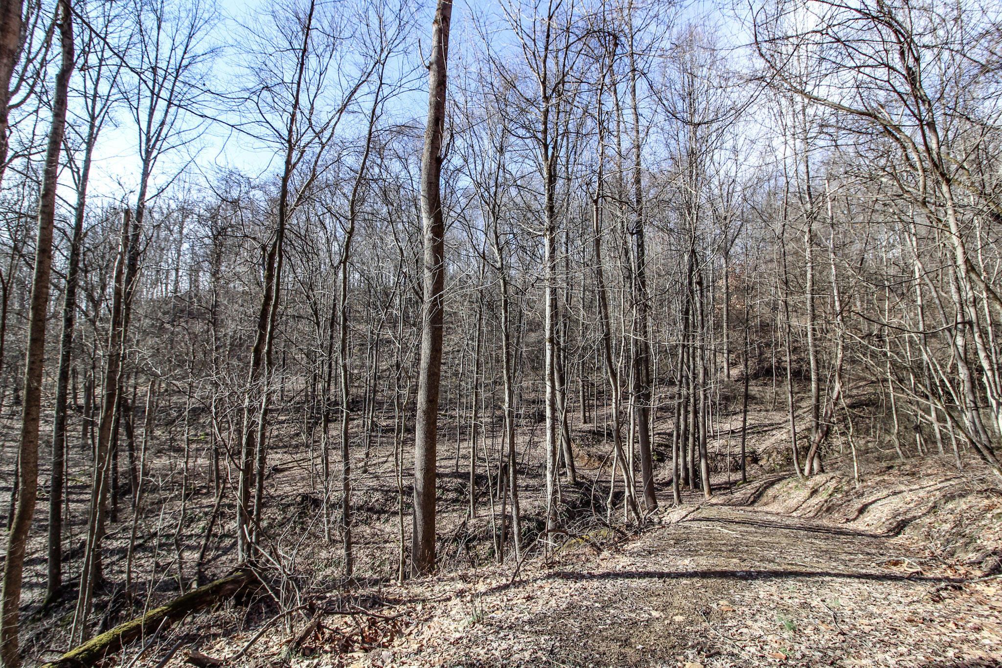 Sugar Run Road, Marietta, Ohio image 20