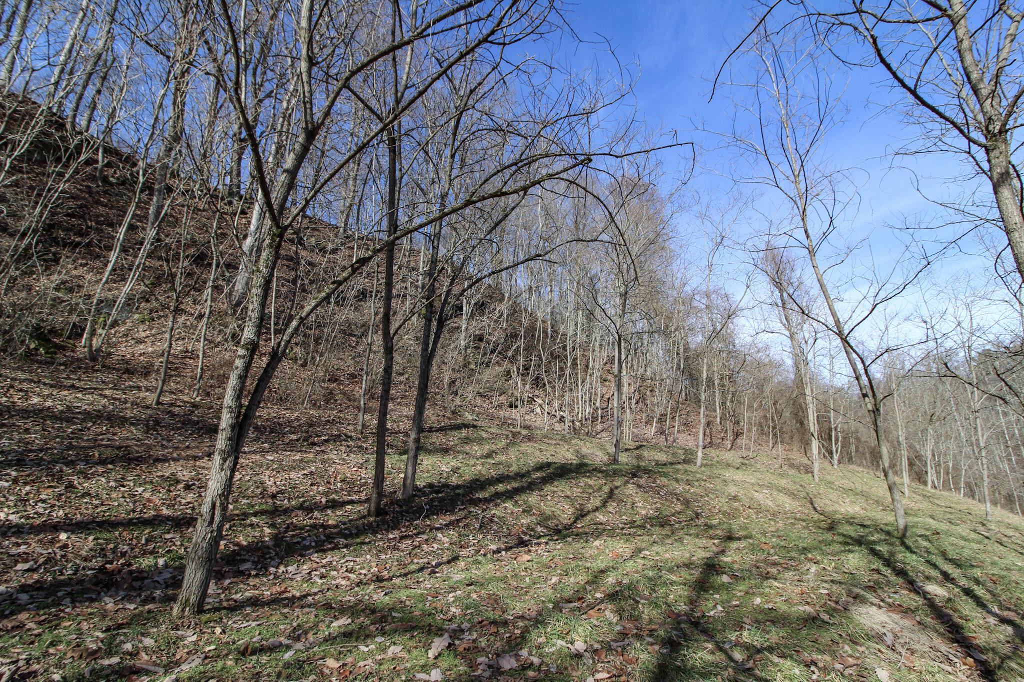 Sugar Run Road, Marietta, Ohio image 16