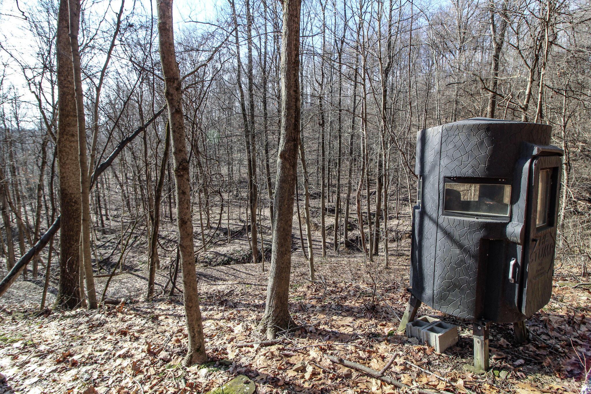 Sugar Run Road, Marietta, Ohio image 21