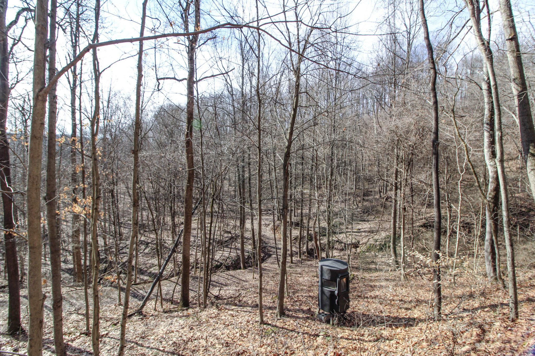 Sugar Run Road, Marietta, Ohio image 30