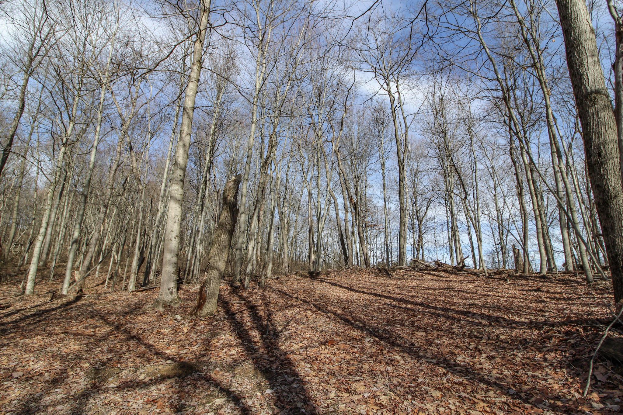 Sugar Run Road, Marietta, Ohio image 28