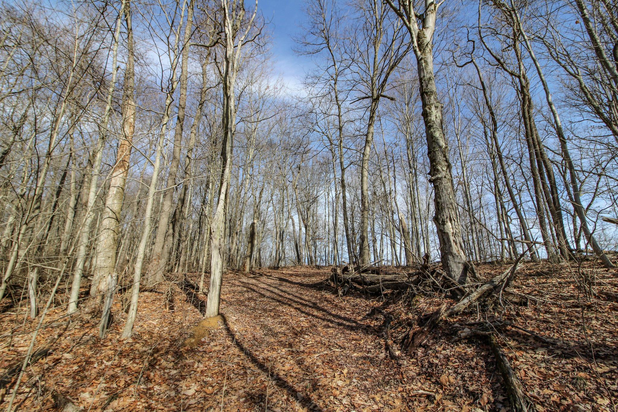 Sugar Run Road, Marietta, Ohio image 22