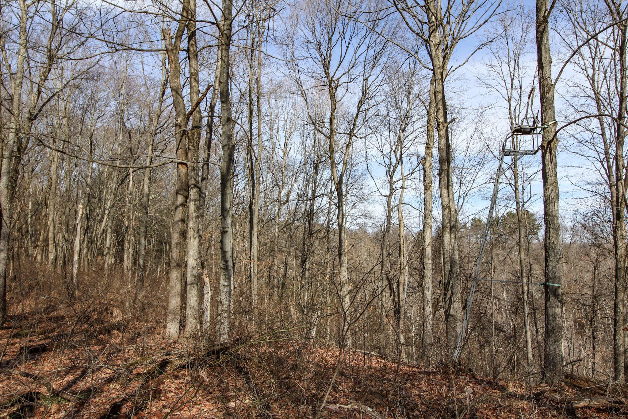 Sugar Run Road, Marietta, Ohio image 23