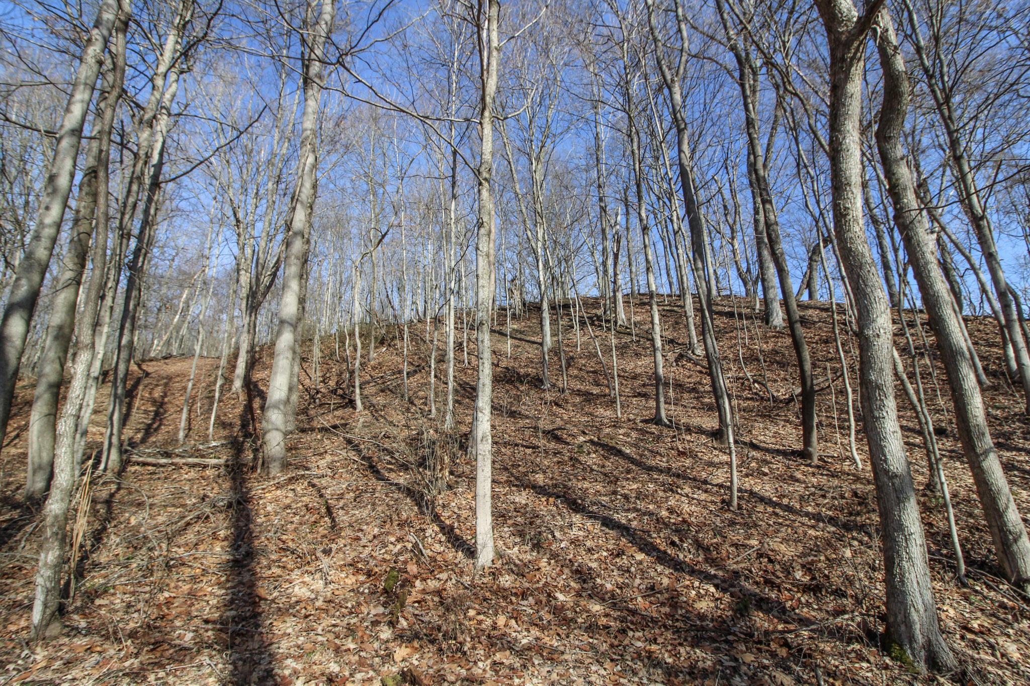 Sugar Run Road, Marietta, Ohio image 19