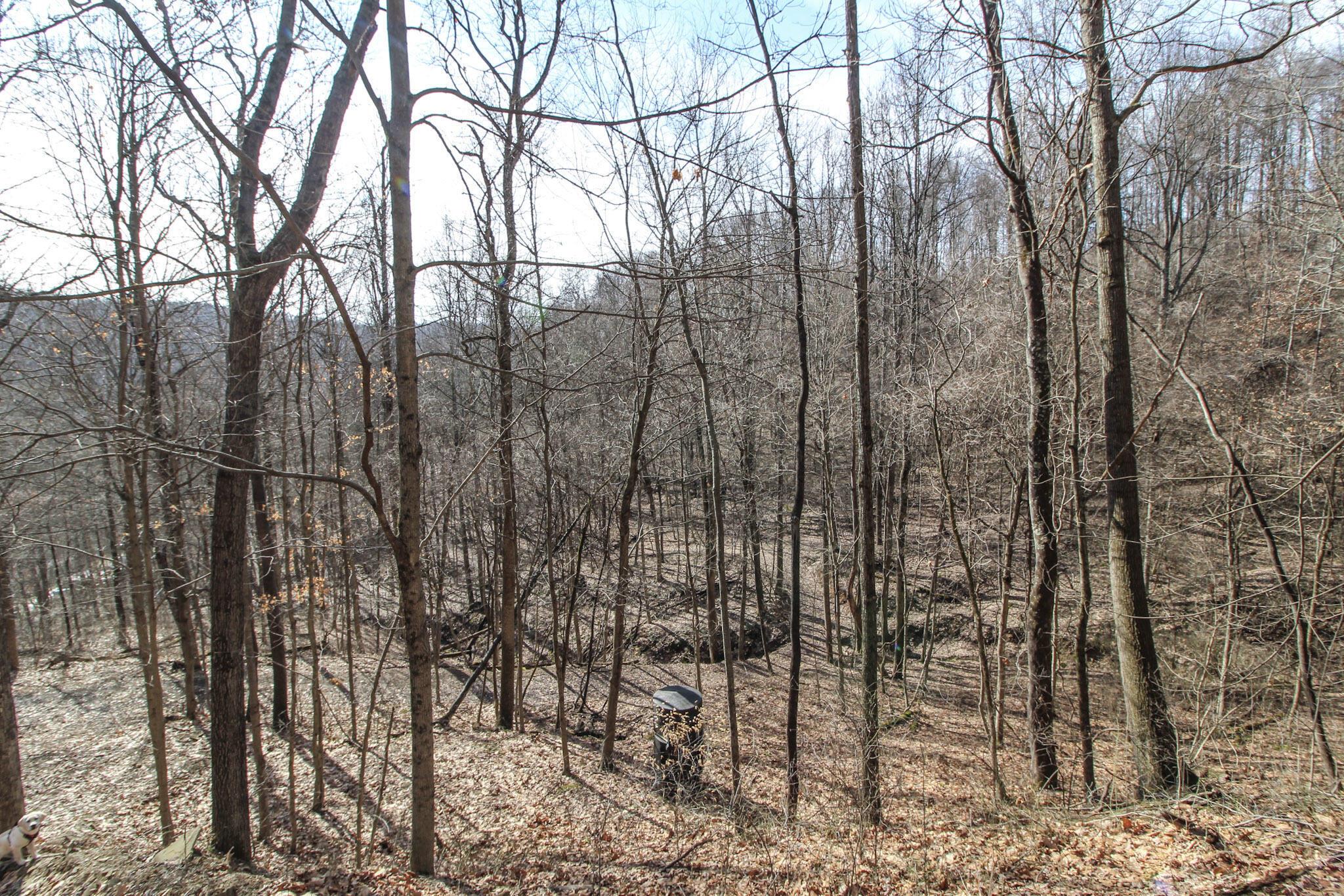 Sugar Run Road, Marietta, Ohio image 29