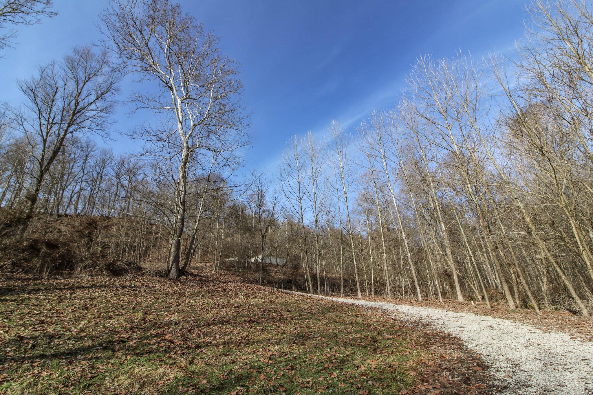 Sugar Run Road, Marietta, Ohio image 3