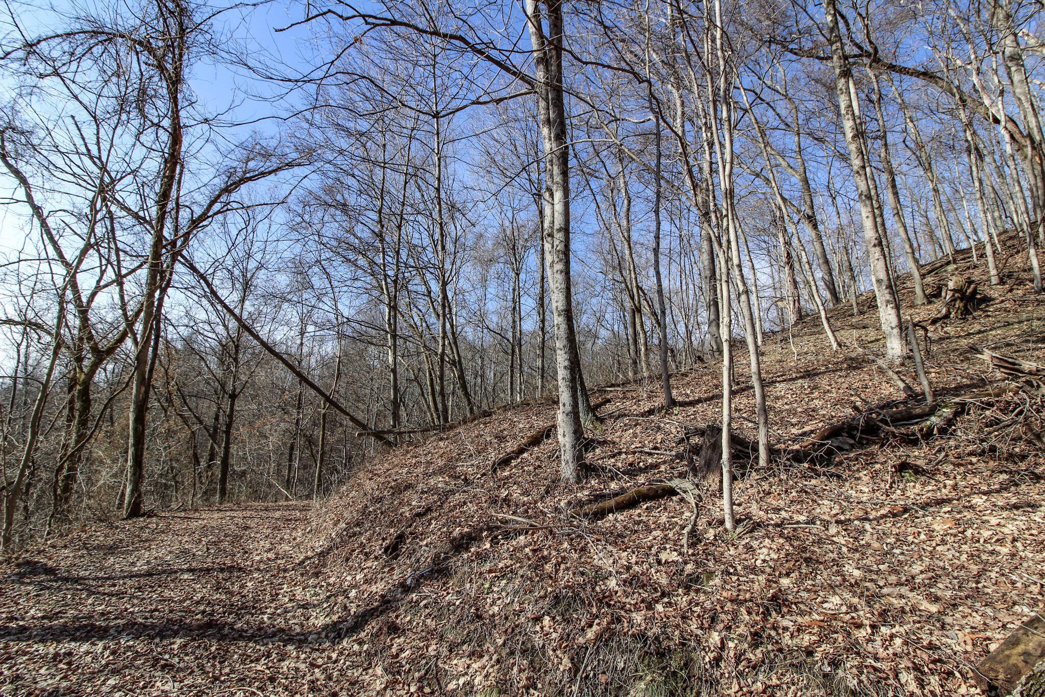 Sugar Run Road, Marietta, Ohio image 17