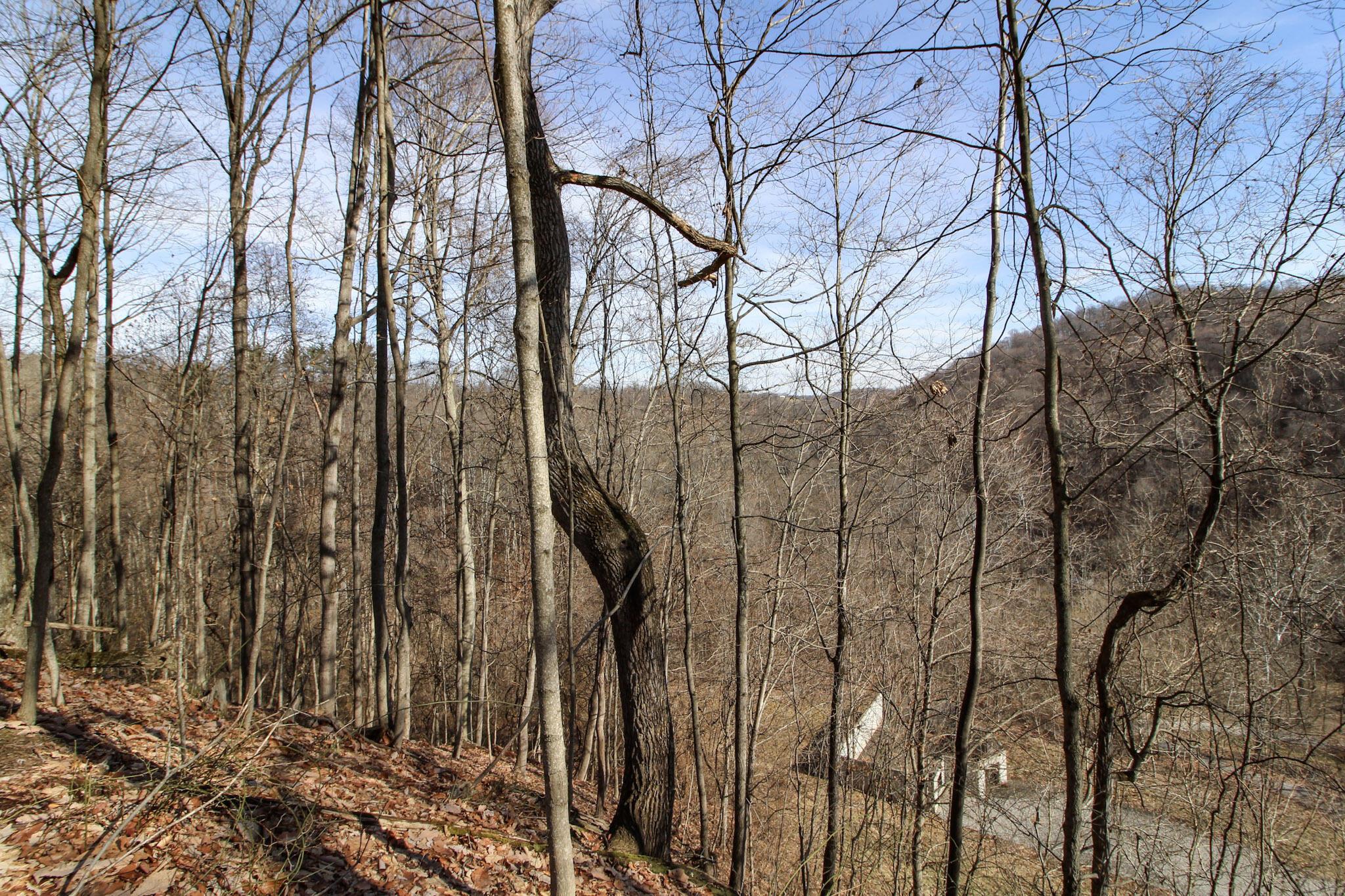 Sugar Run Road, Marietta, Ohio image 24