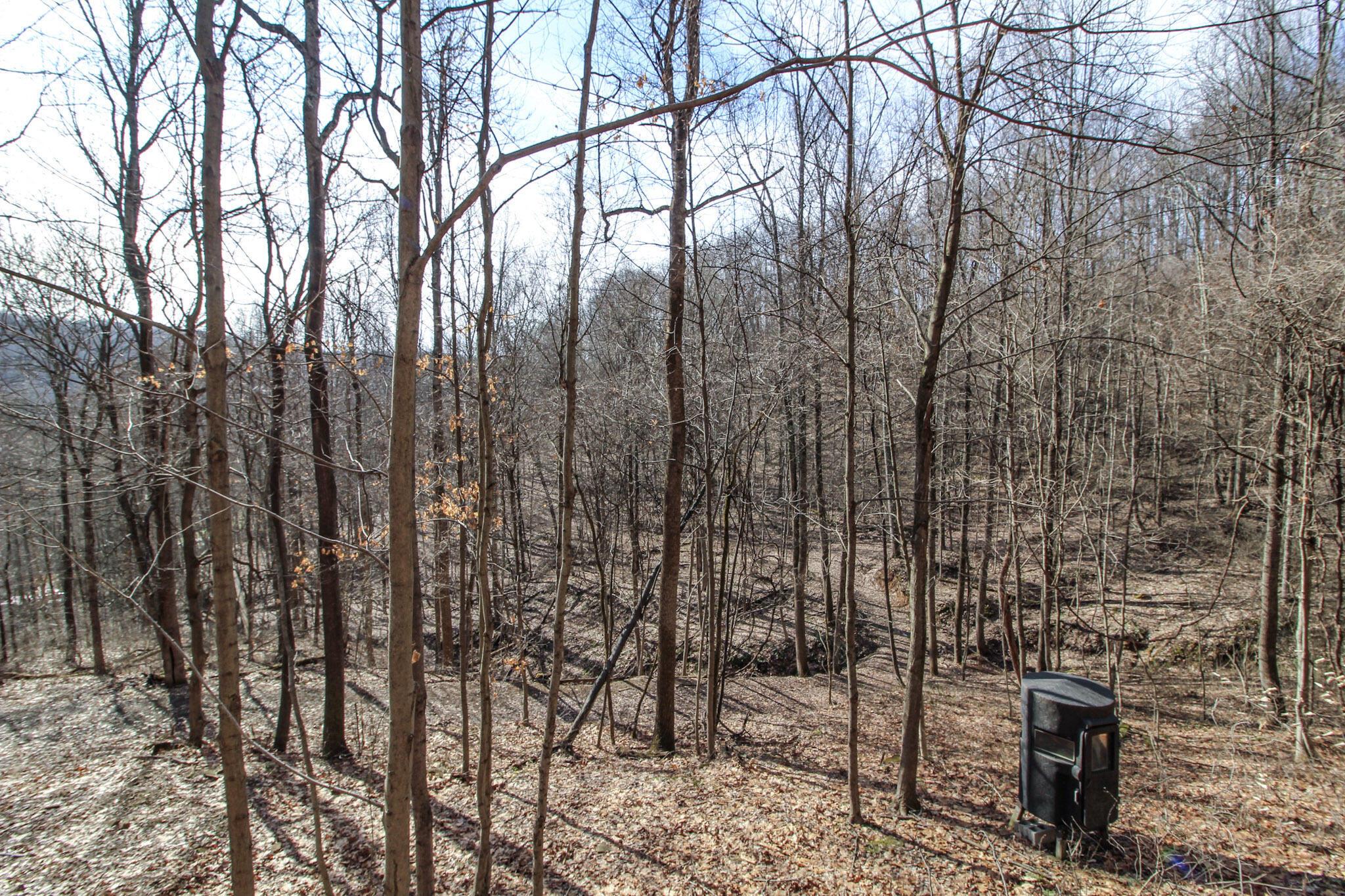 Sugar Run Road, Marietta, Ohio image 31