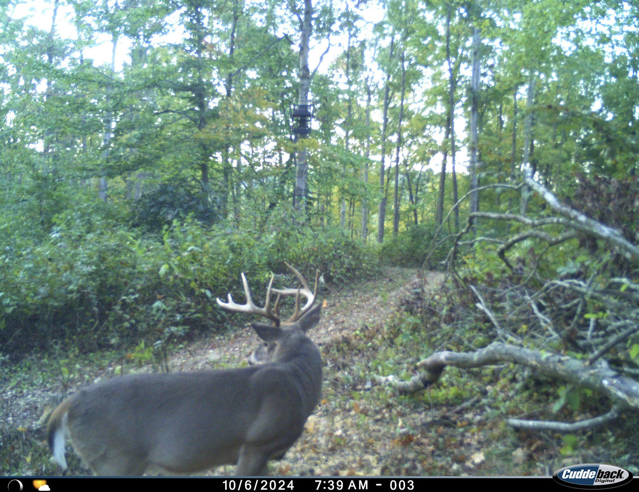 Sugar Run Road, Marietta, Ohio image 35
