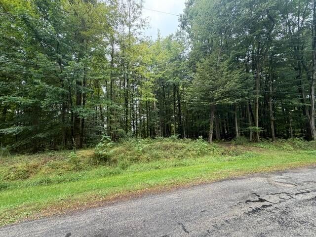 Photo of 7326 State Route 19 Unit 5, Lots 33-34, Mount Gilead, OH 43338 (MLS # 226035992)
