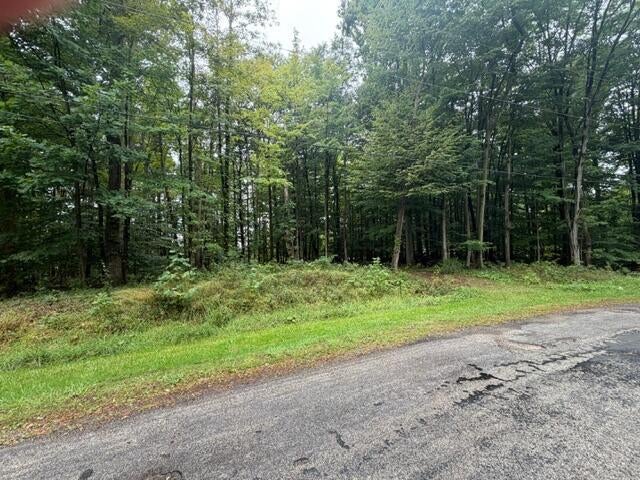 Photo of 7326 State Route 19 Unit 5, Lots 33-34, Mount Gilead, OH 43338 (MLS # 226035992)